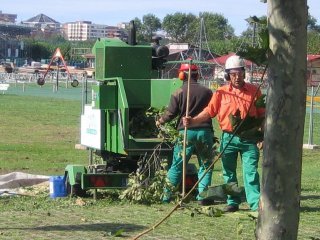 JARDINERIA (35)